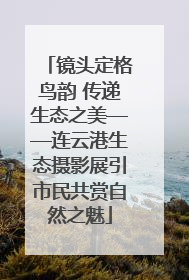 镜头定格鸟韵 传递生态之美——连云港生态摄影展引市民共赏自然之魅